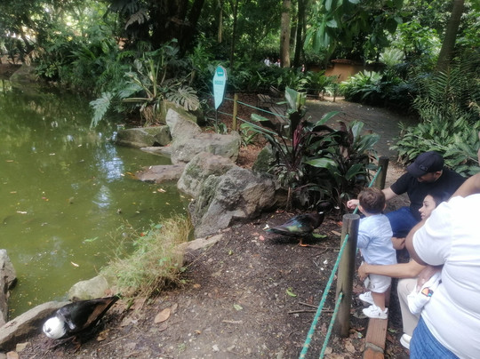 Chatiapues Messenger-麦德林必去景点