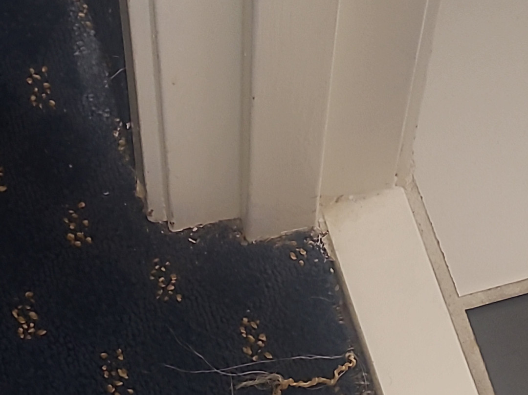 Thousand Hills Vacations主图