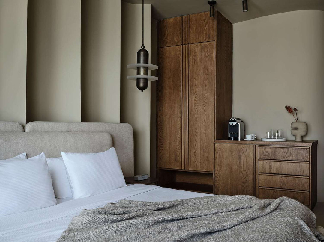 Andronis Concept Wellness Resort主图