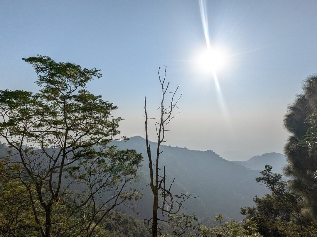 Timber Trail景点图片