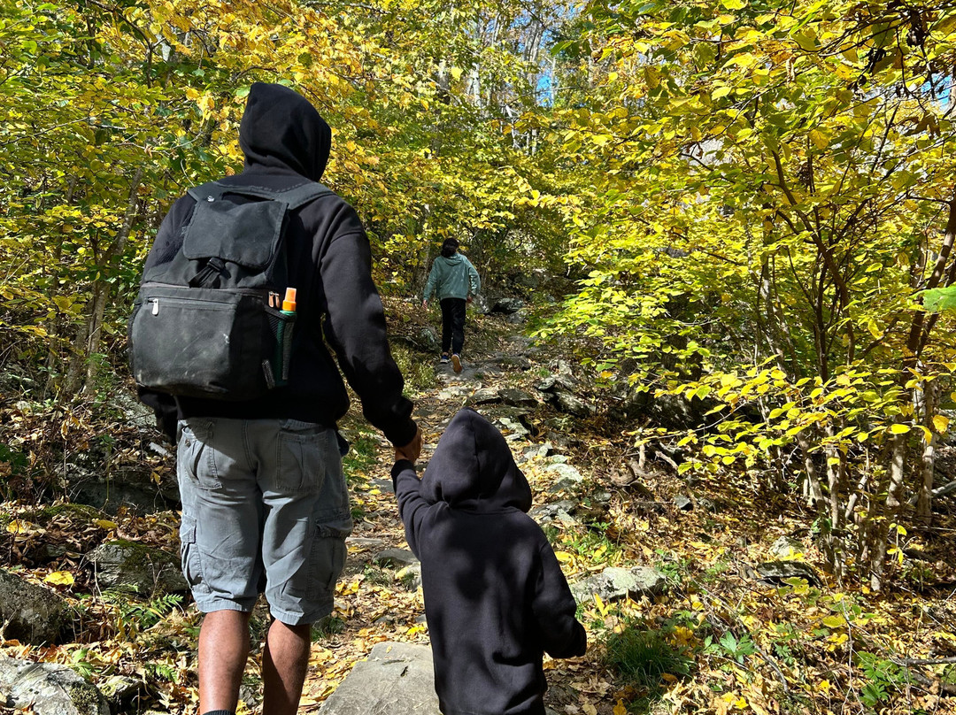 Stony Man Mountain Hike-卢雷必去景点