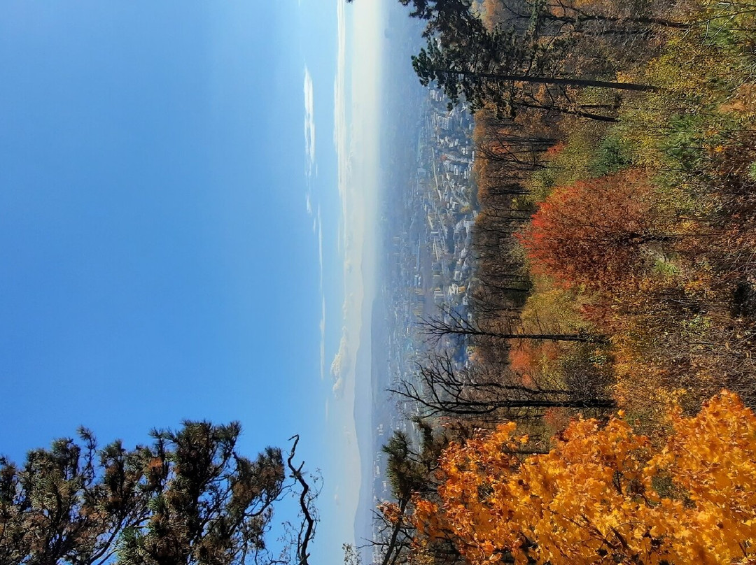 Vyhliadkova Veza Hradova-科希策必去景点
