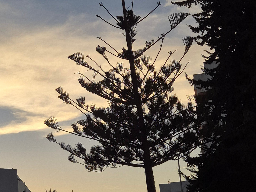 Hotel Mirachoro Albufeira主图