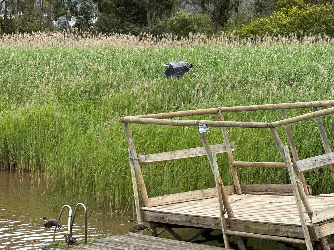 Stanford River Cruises Lady Stanford-斯坦福必去景点