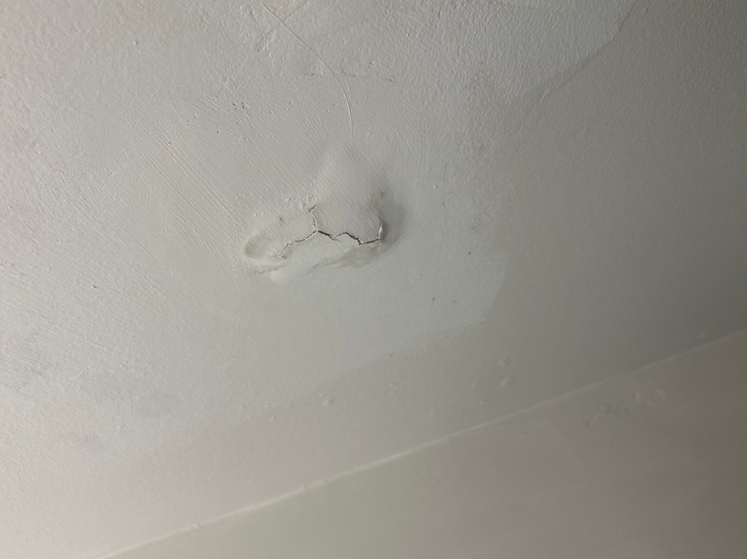 Wingate by Wyndham Williamsburg主图