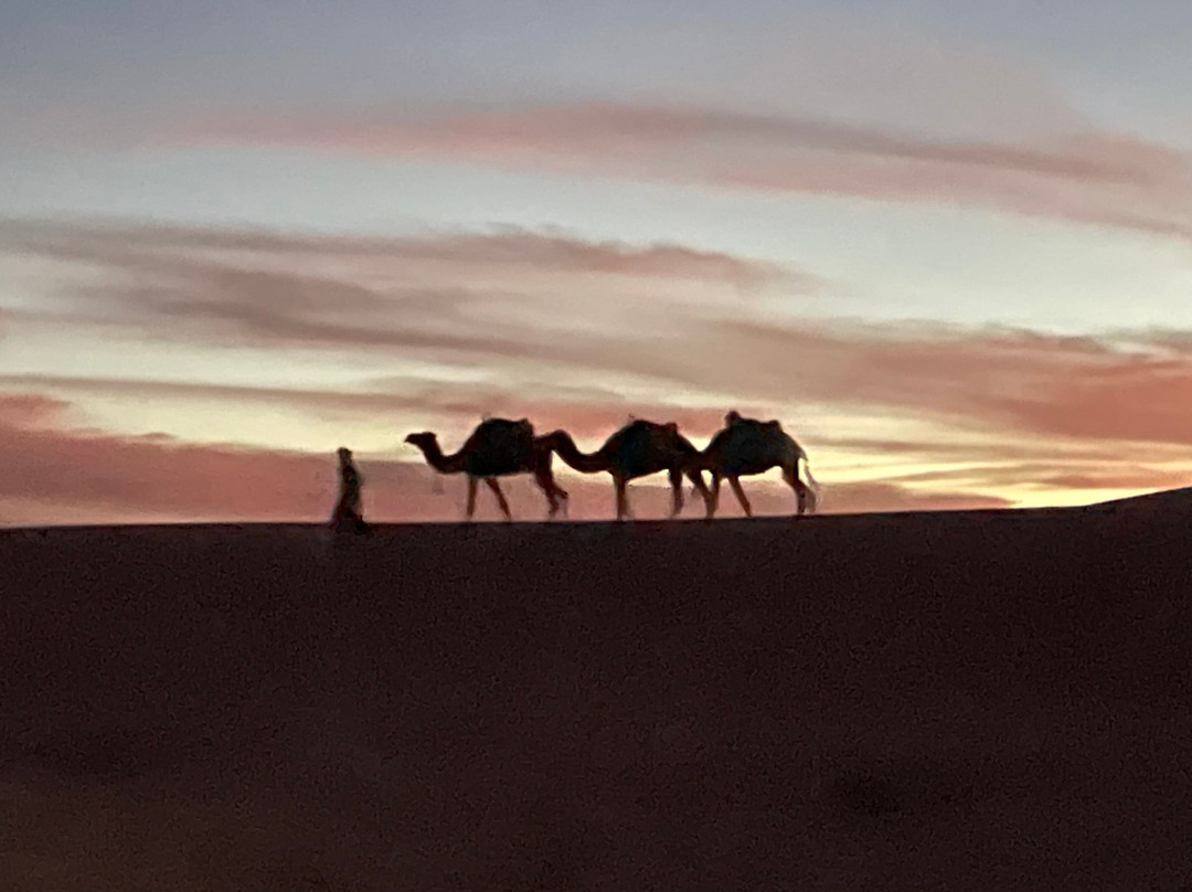 Berber Travel Adventures景点图片