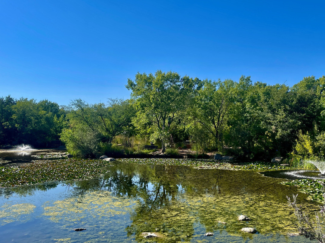 ABQ BioPark Aquarium-阿尔伯克基必去景点