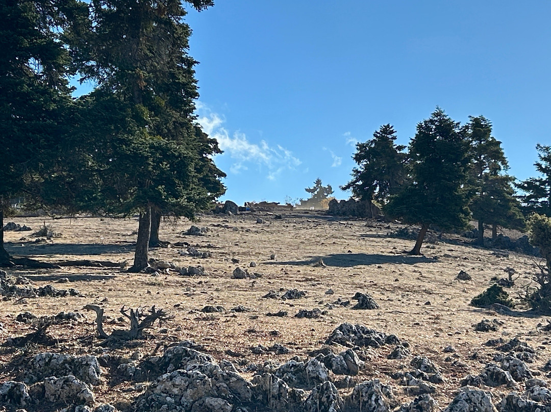 Trekking Hellas Delphi-德尔斐必去景点