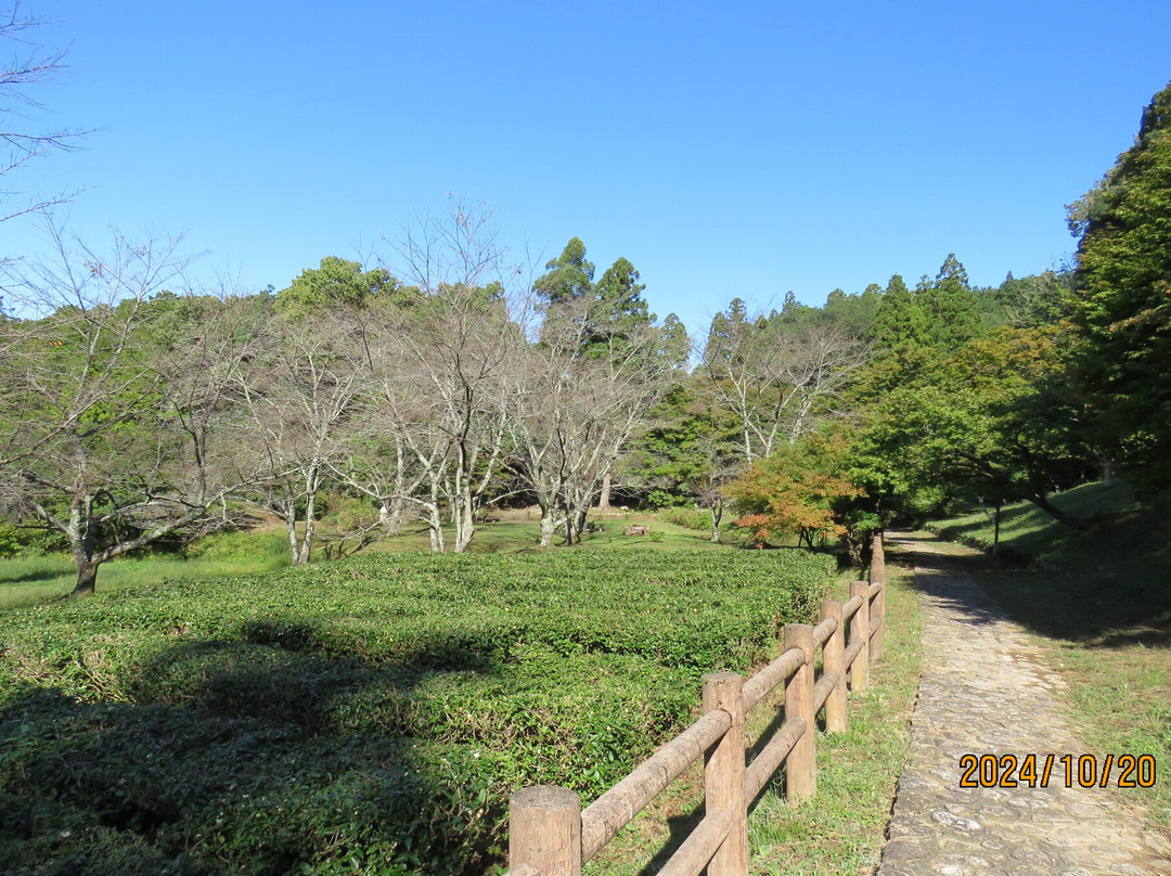 Keisoku-ji Temple-长滨市必去景点