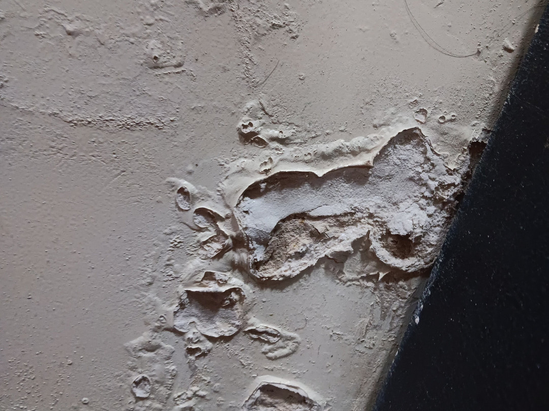 Hotel Mandakini Royale kanpur主图