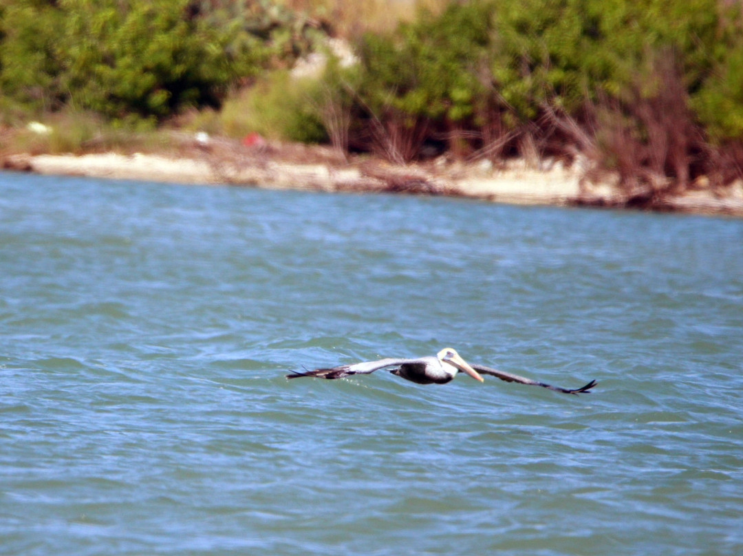 Roberts Point Park-阿兰瑟斯港必去景点