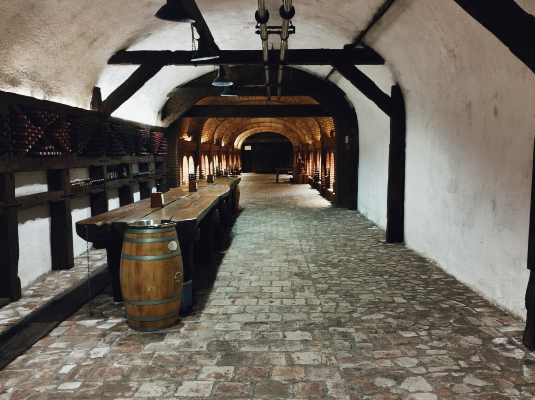 Kvareli Wine Cave-Kvareli必去景点