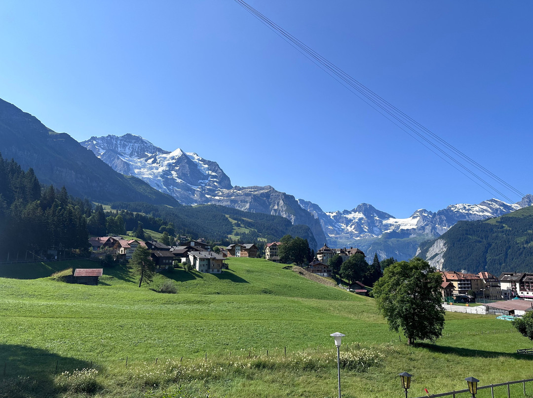 贝豪斯酒店主图