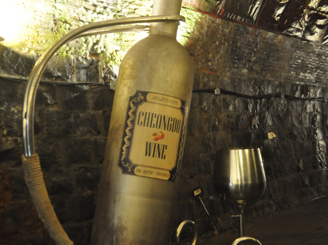 Cheongdo Wine Tunnel-清道郡必去景点