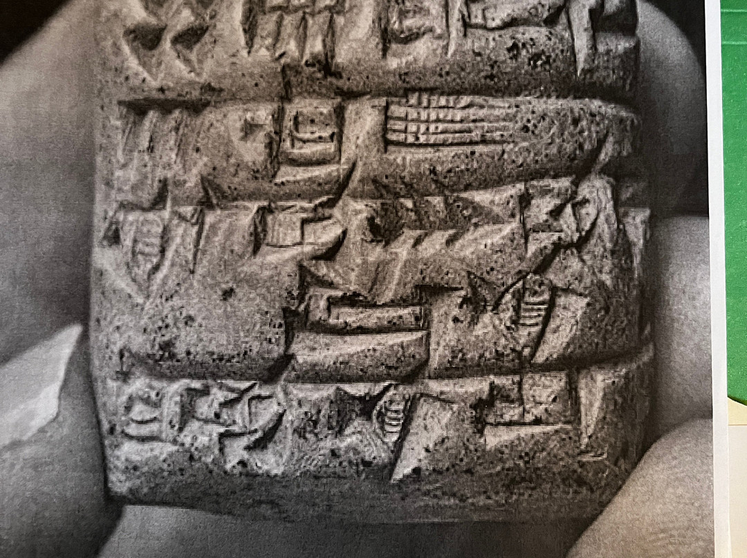 Orma J. Smith Museum of Natural History景点图片