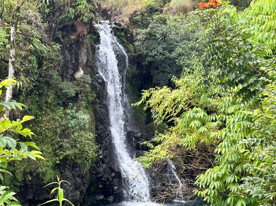Experience Hawaii Tours-毛伊岛必去景点