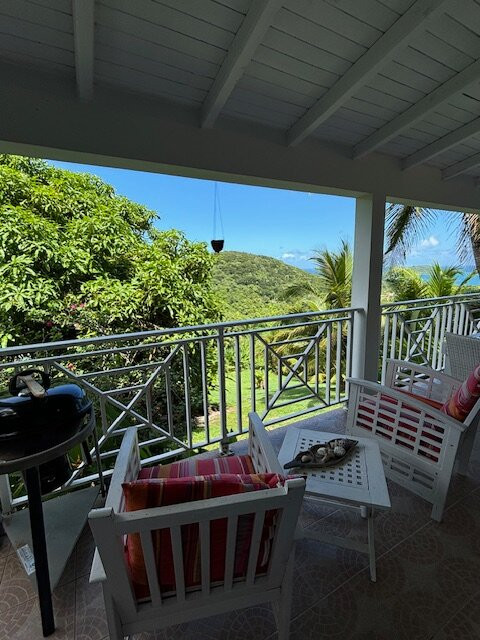 Habitation Pineau主图