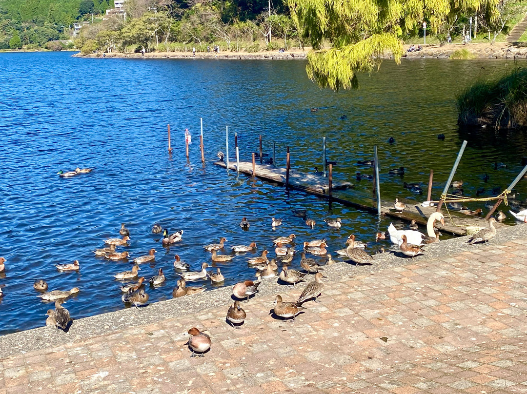 Imuta Pond-萨摩川内市必去景点