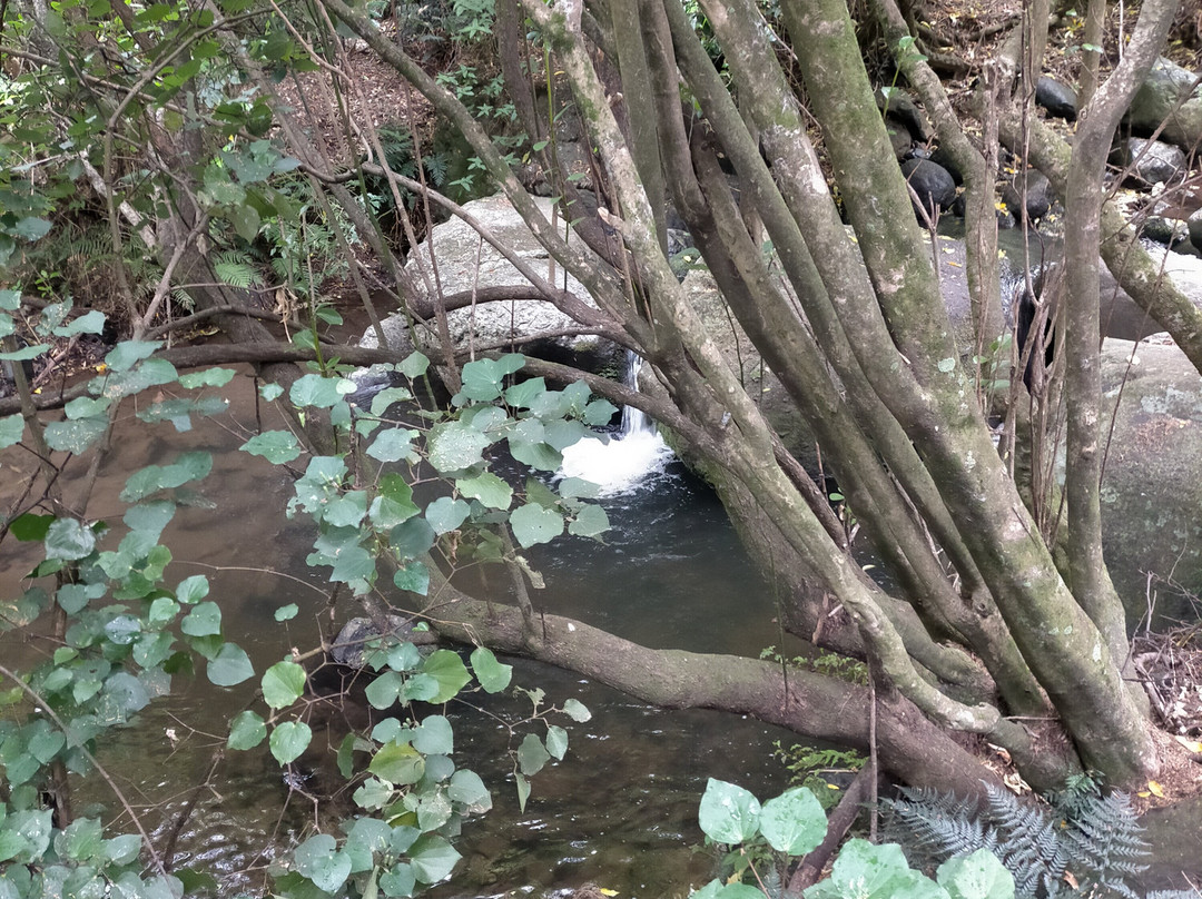 Orton Bradley Park-南岛必去景点