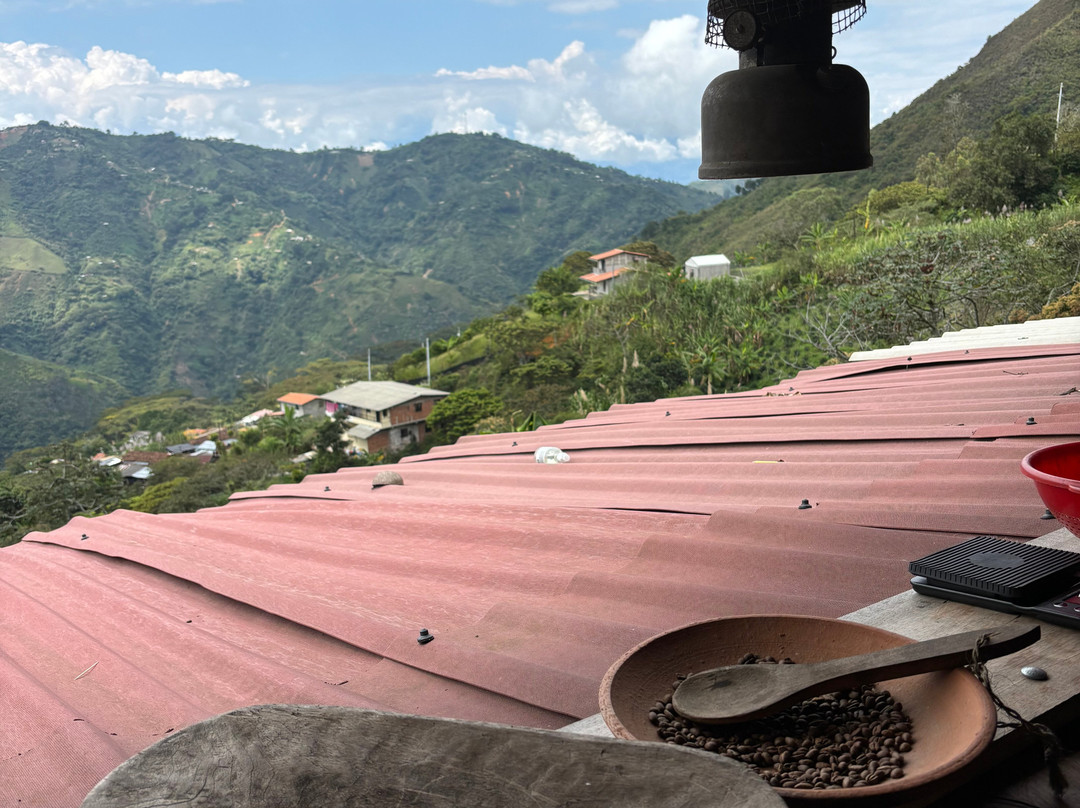 Finca La Arrinconada-麦德林必去景点