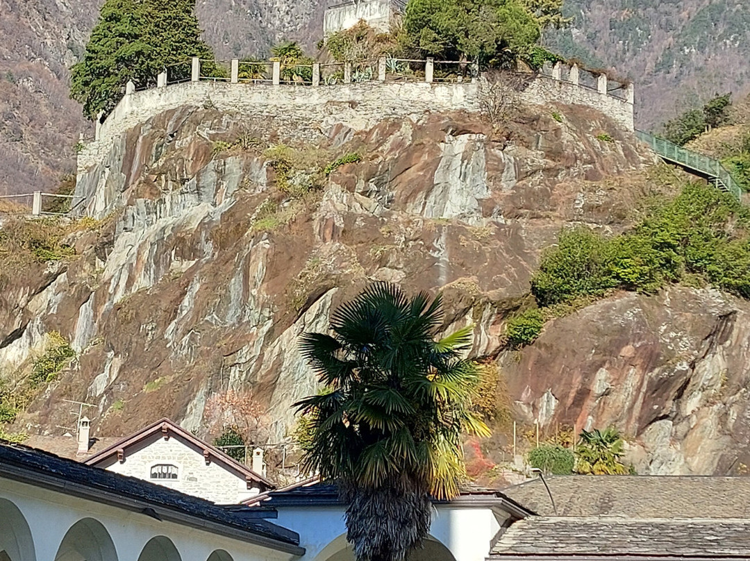 Parco Archeologico Botanico del Paradiso e Museo Archeologico della Valchiavenna景点图片