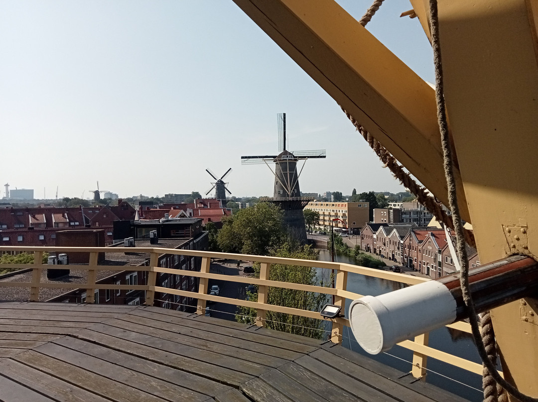 Schiedam Windmills景点图片
