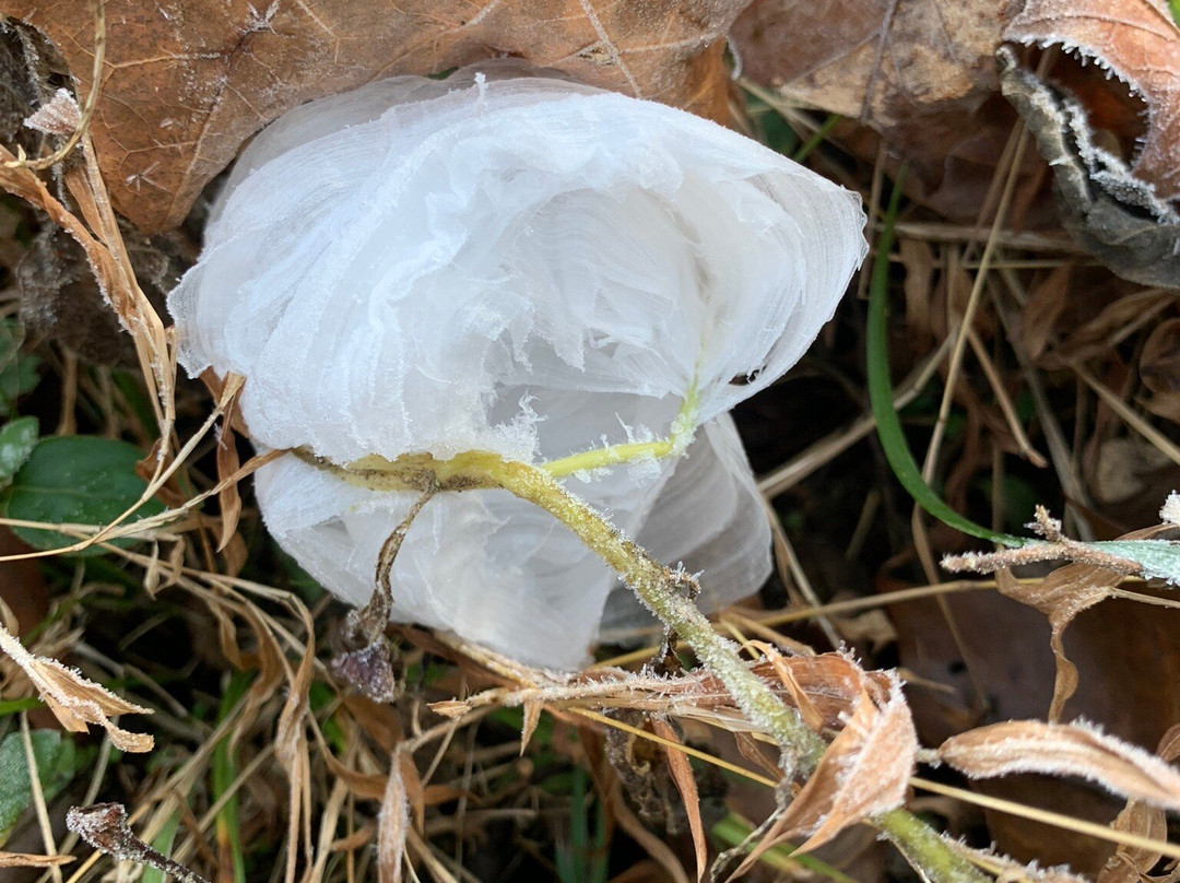 Window Cliffs State Natural Area-Baxter必去景点