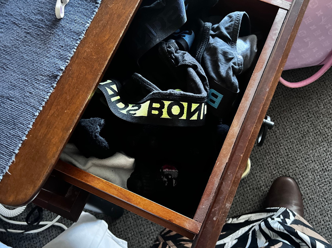 奥帕尔汽车旅店主图