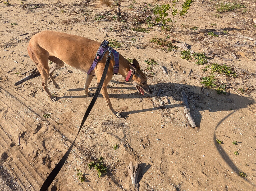 Hallstrom House & Farmstead-维罗海滩必去景点