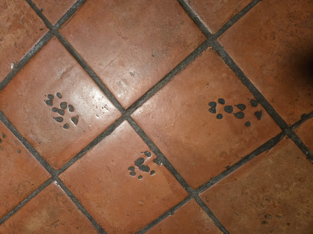 Fire Water Lodge主图