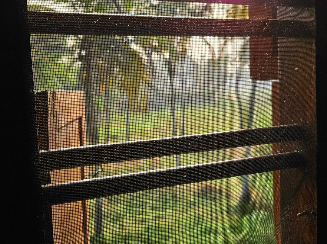 Meiveda Ayurveda Beach Resort主图