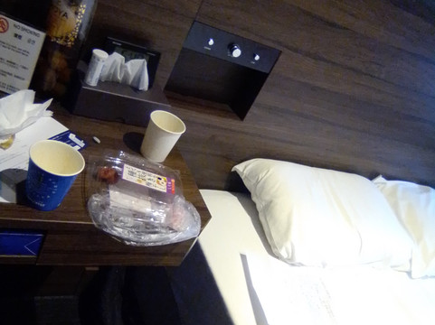 东京银座金特萨酒店主图