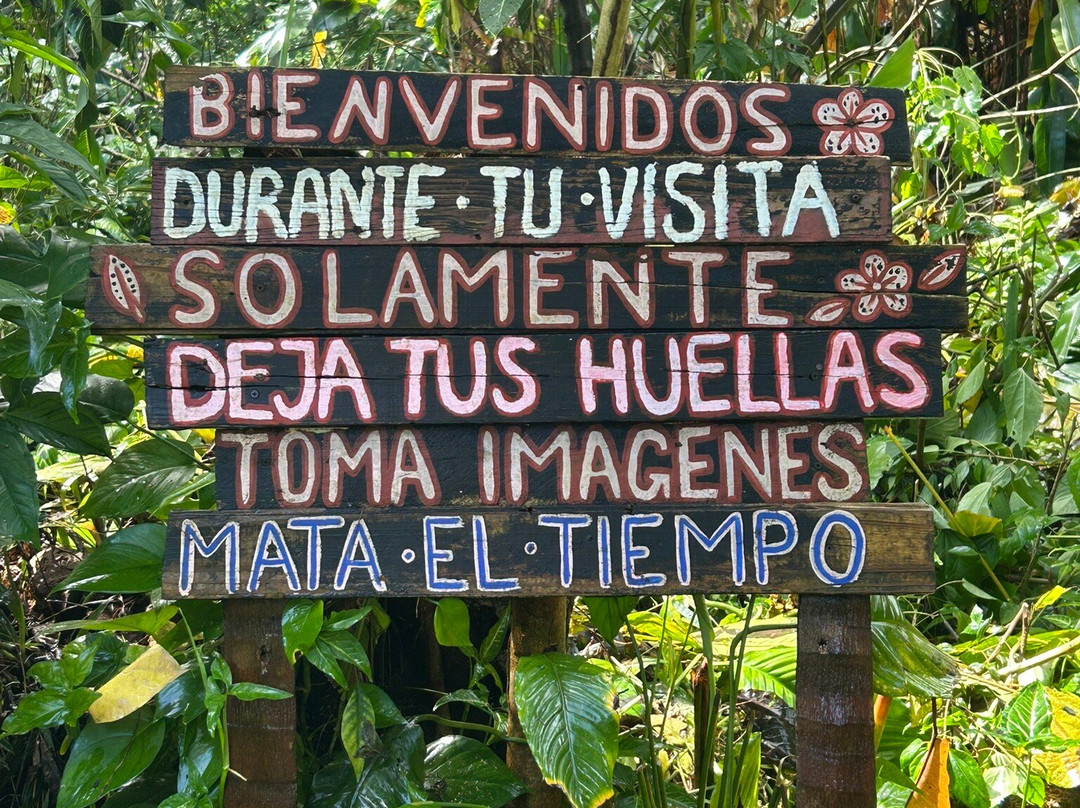 Tainopark-Santa Barbara de Samana必去景点