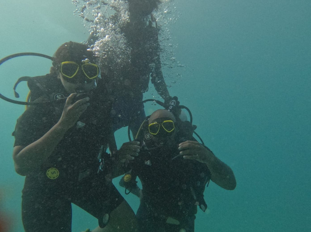 Turquoise Dream | PADI Dive Centre景点图片