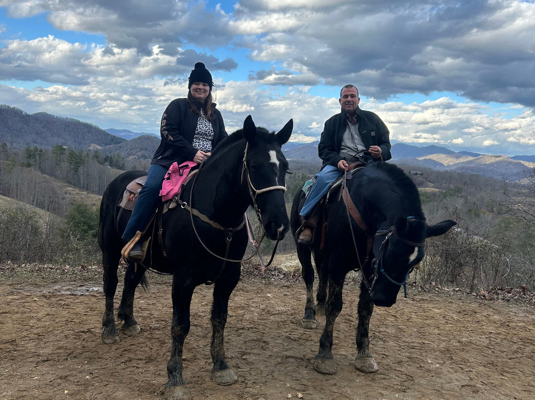 Sandy Bottom Trail Rides景点图片