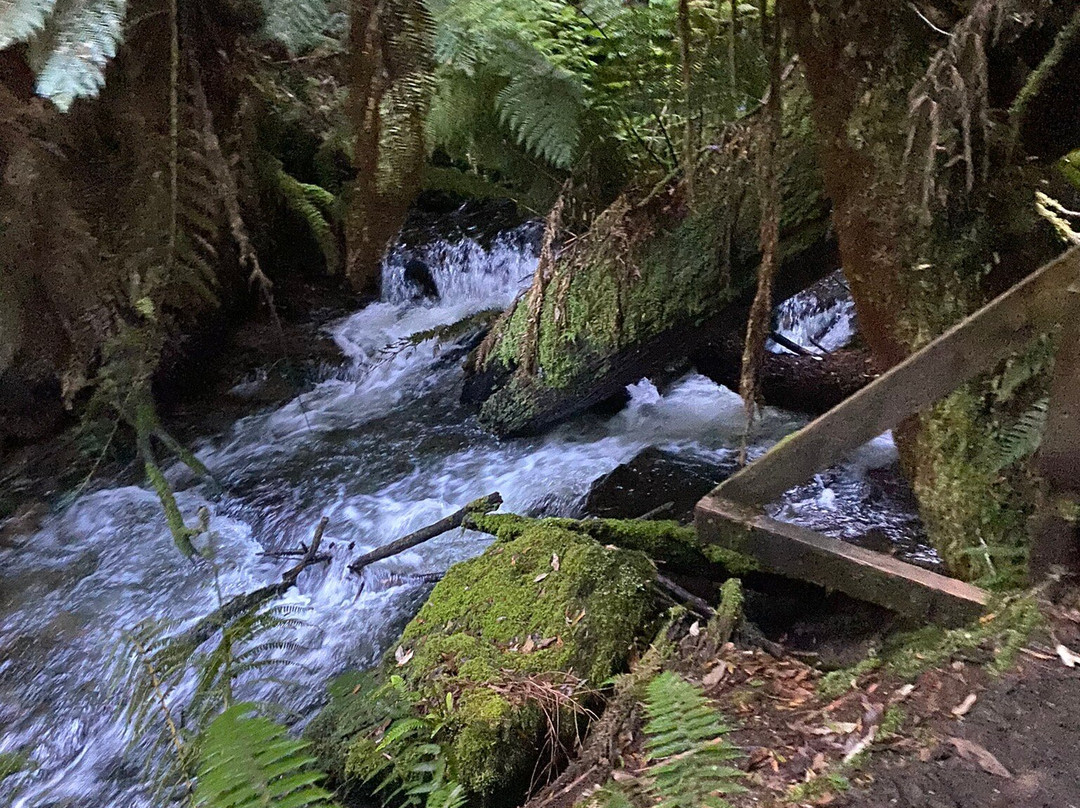 Junee Caves-Maydena必去景点