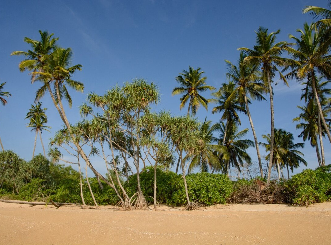 Cinnabar Resort主图