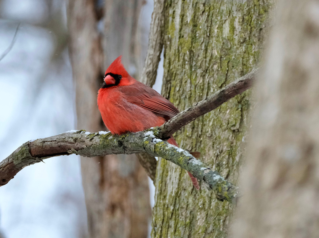 Malcolmson Park-圣凯瑟琳斯必去景点