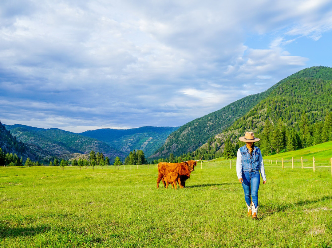 Alberton Orchards Guest Ranch