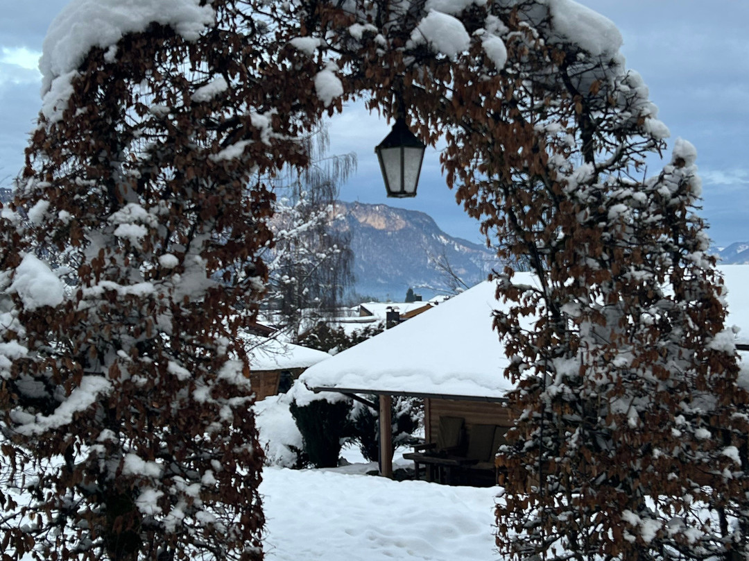 Gartenhotel Rosenhof主图