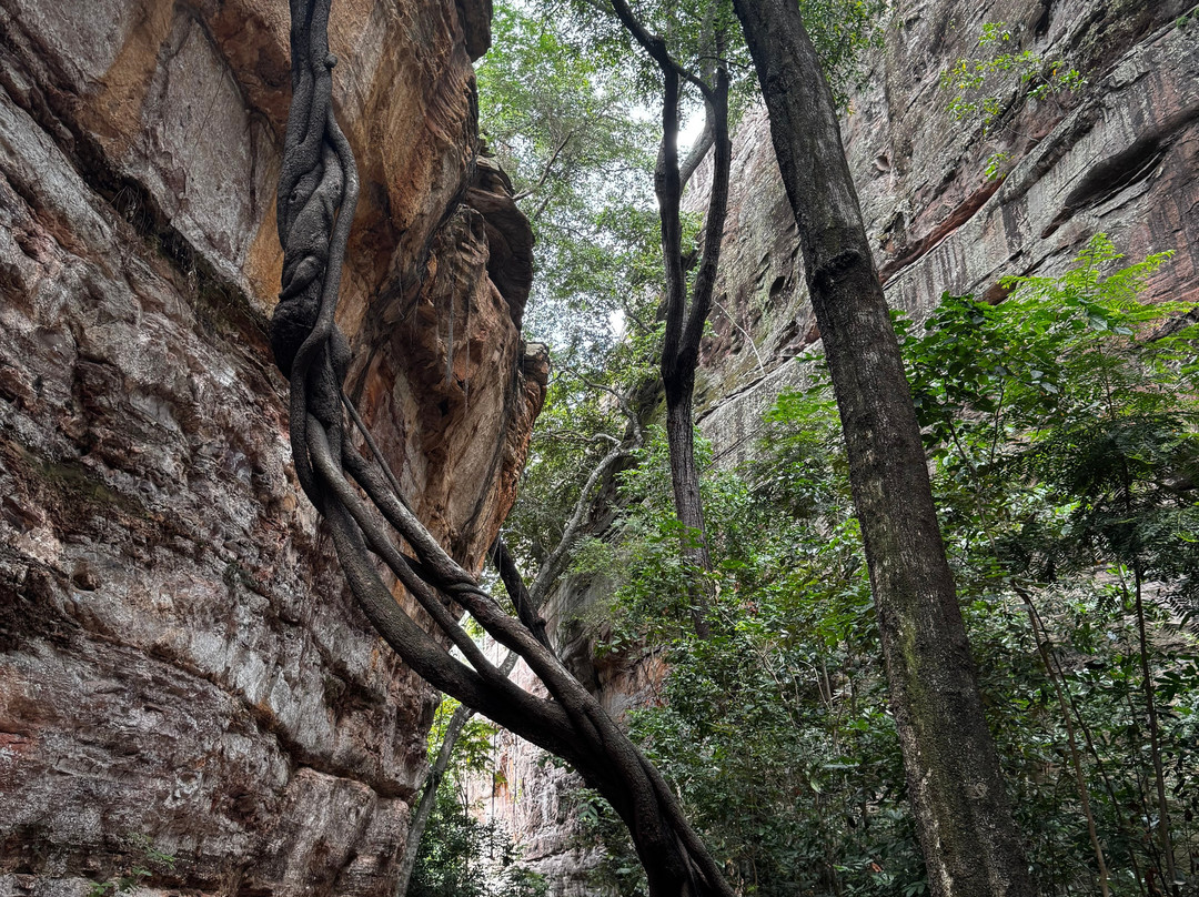 National Park of Serra das Confusoes景点图片