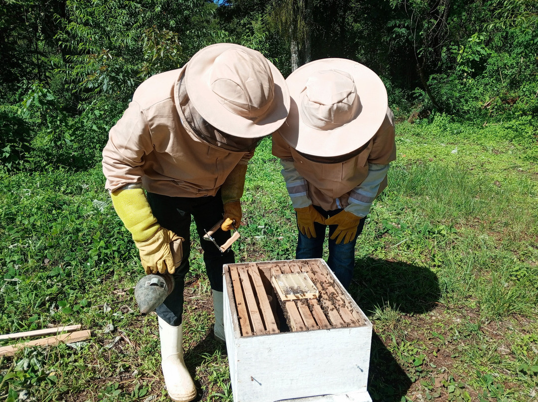Lushoto Apiculture Museum-卢绍托必去景点