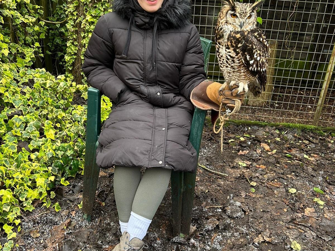 The Rutland Falconry and Owl Centre-Exton必去景点