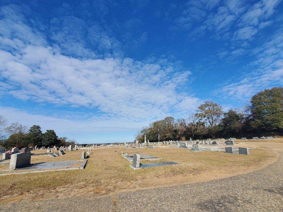 Hank Williams Memorial - Oakwood Annex Cemetery-蒙哥马利必去景点