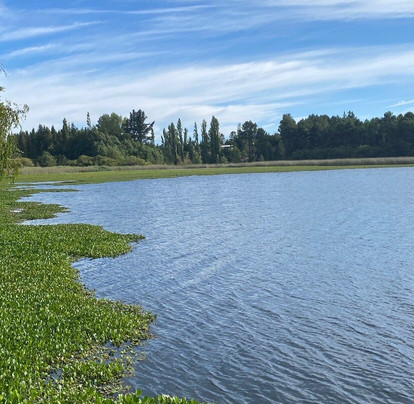 Hotel y Cabañas Las Mellizas - Caja Los Andes主图