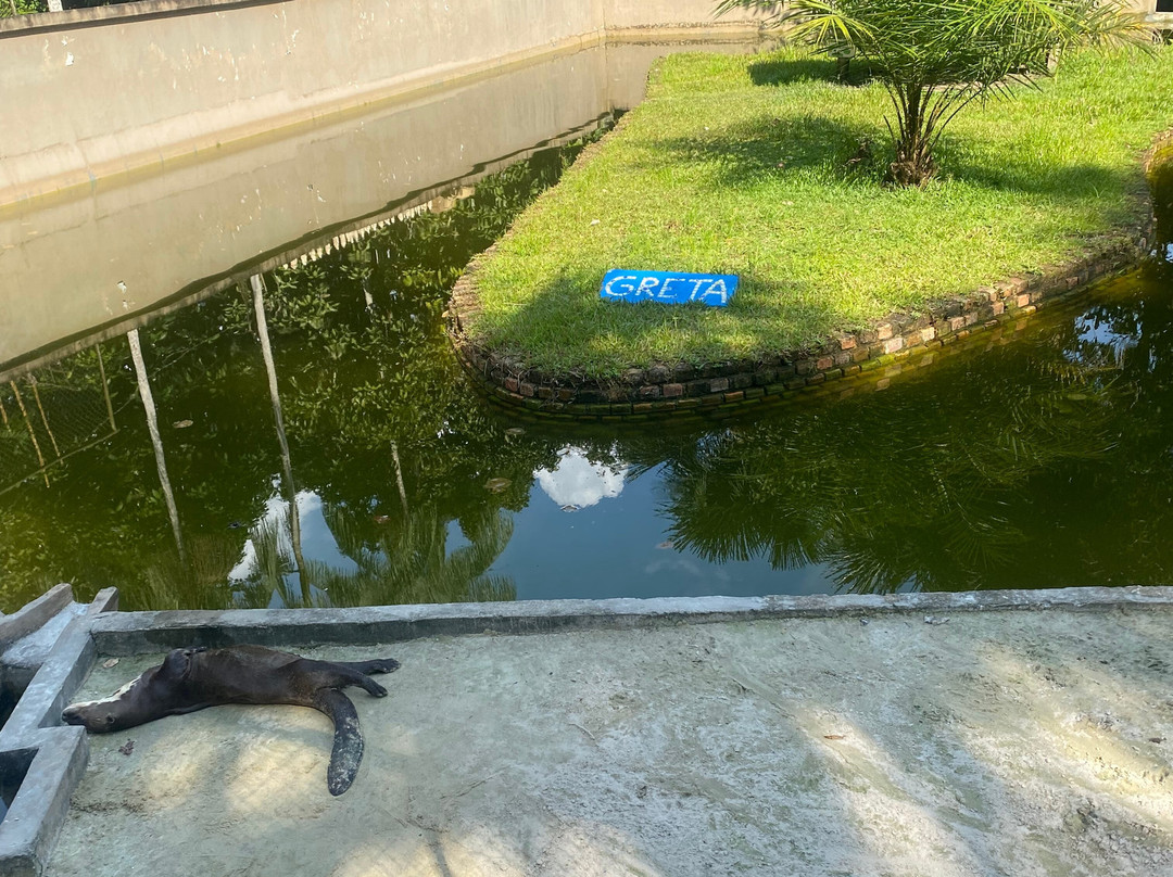 Quistococha Zoo景点图片