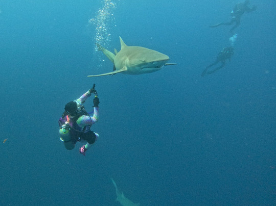 Jupiter Scuba-朱庇特必去景点