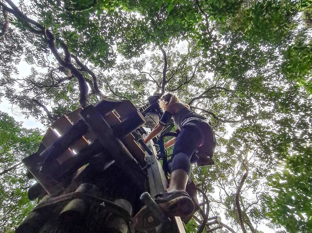 Koghi Parc Aventure-Dumbea必去景点