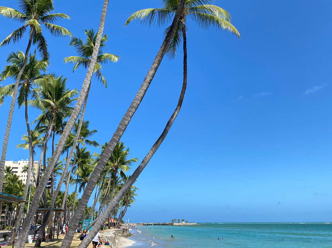 Maré Viva Passeios Turísticos-Maceio必去景点