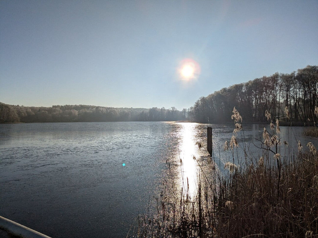 Waldschenke Stendenitz主图